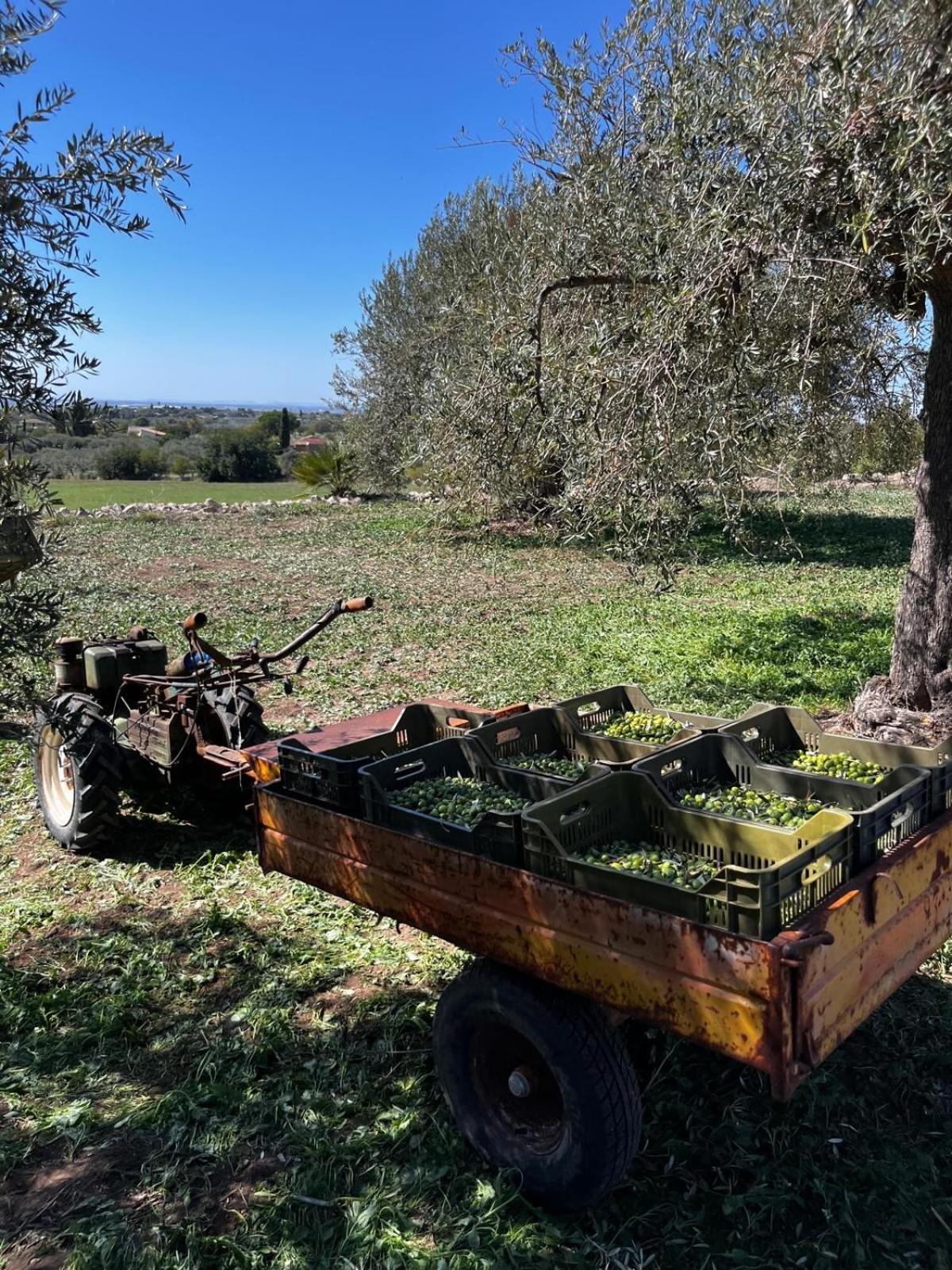 La Bella Vita Agriturismo เคียรามอนเตกุลฟิ ภายนอก รูปภาพ
